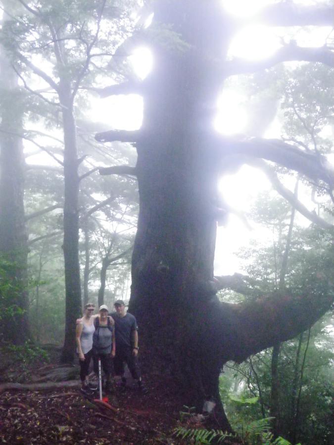 Kumano Backpackers Hostel Танабе Екстериор снимка
